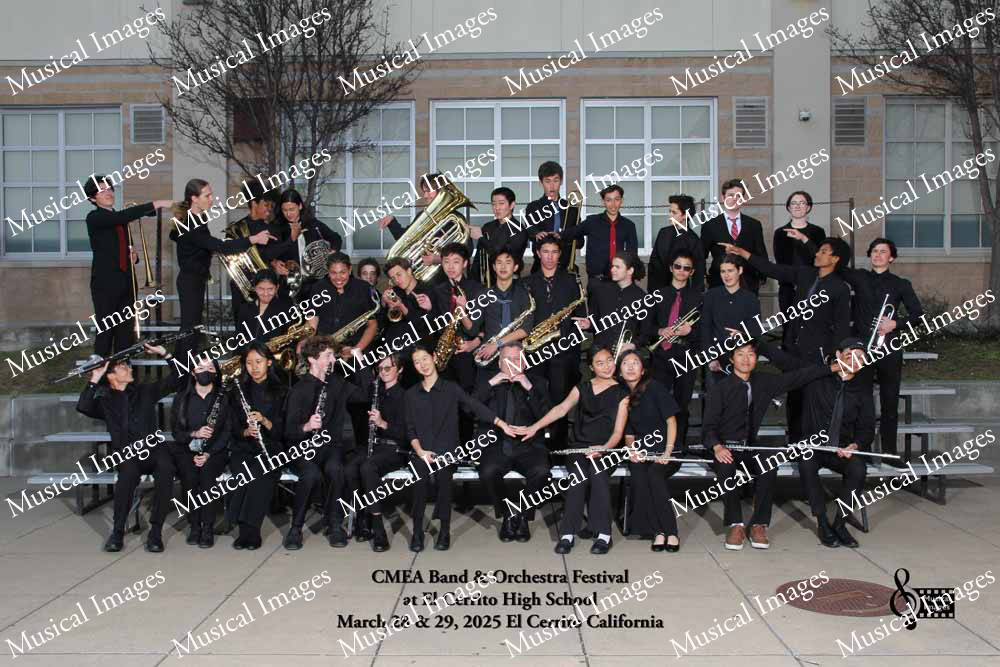 Musical Images